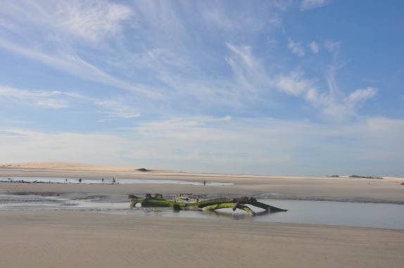 Restos de um mangue que há muito secou, no caminho para Tatajuba - CE